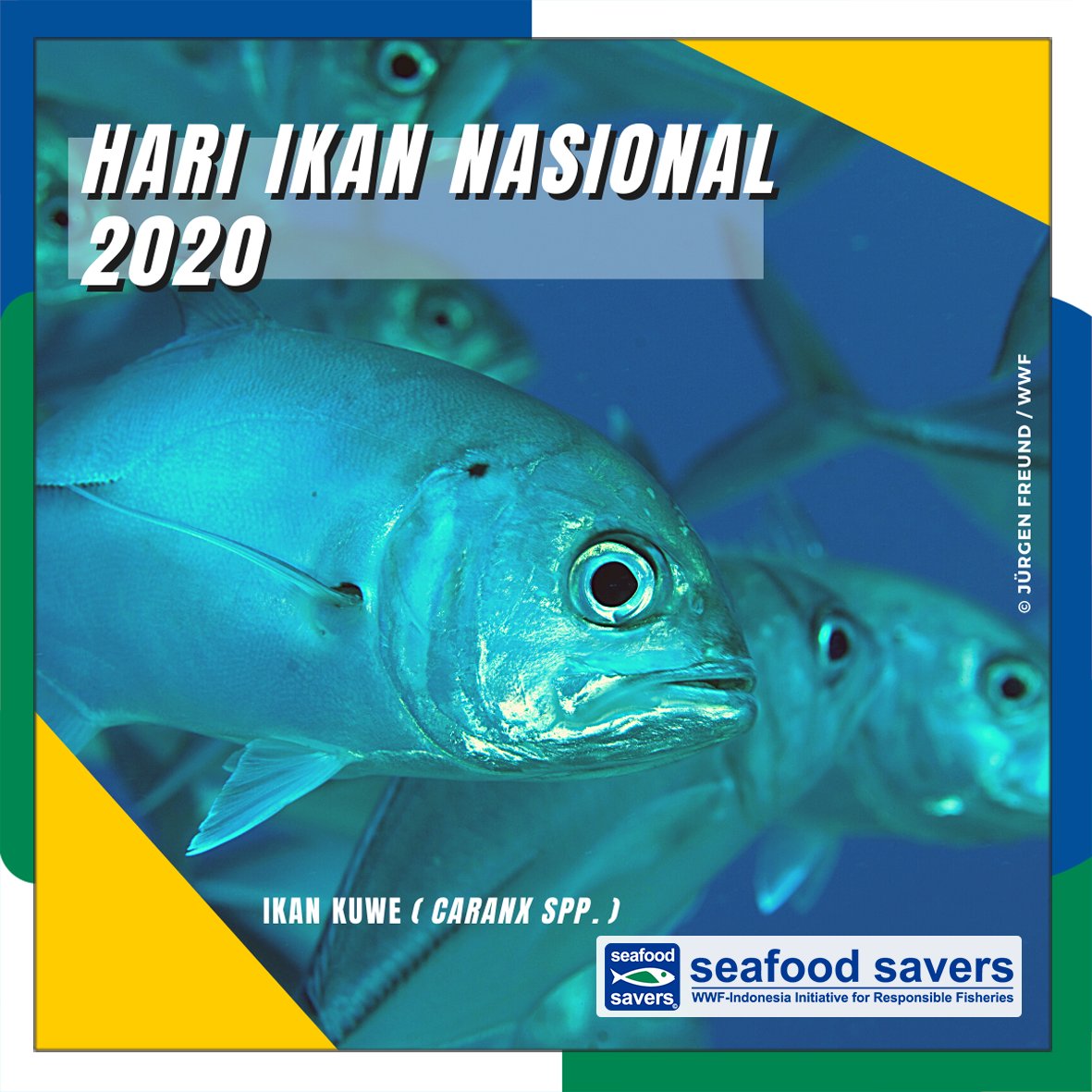 WWF-ID SeafoodSavers tweet media