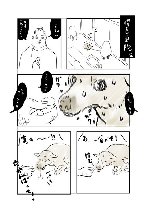 うんちが綺麗になったので動物病院へ報告しに行きました? 