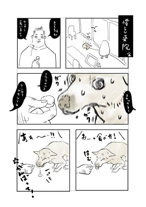 うんちが綺麗になったので動物病院へ報告しに行きました? 