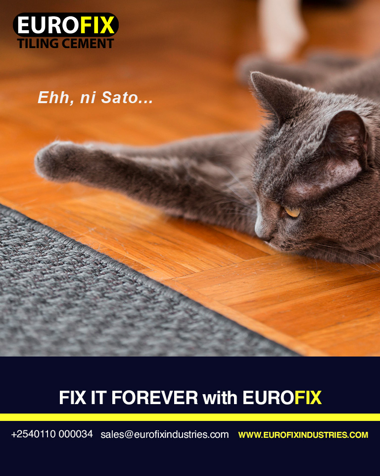 EurofixLtd's tweet photo. Leo admin hana mengi. Just here to wish you a super sato.
#FixItForever with Eurofix. https://t.co/8UcTggjh07