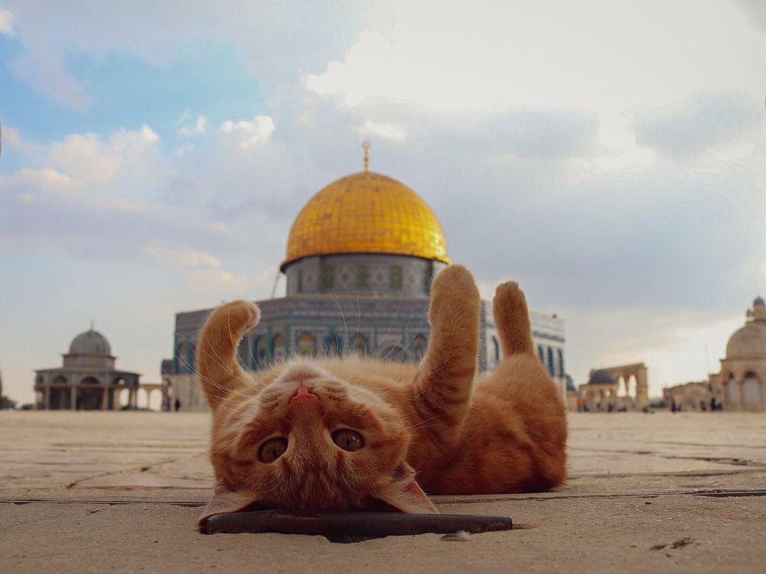 Good morning from the capital of Palestine