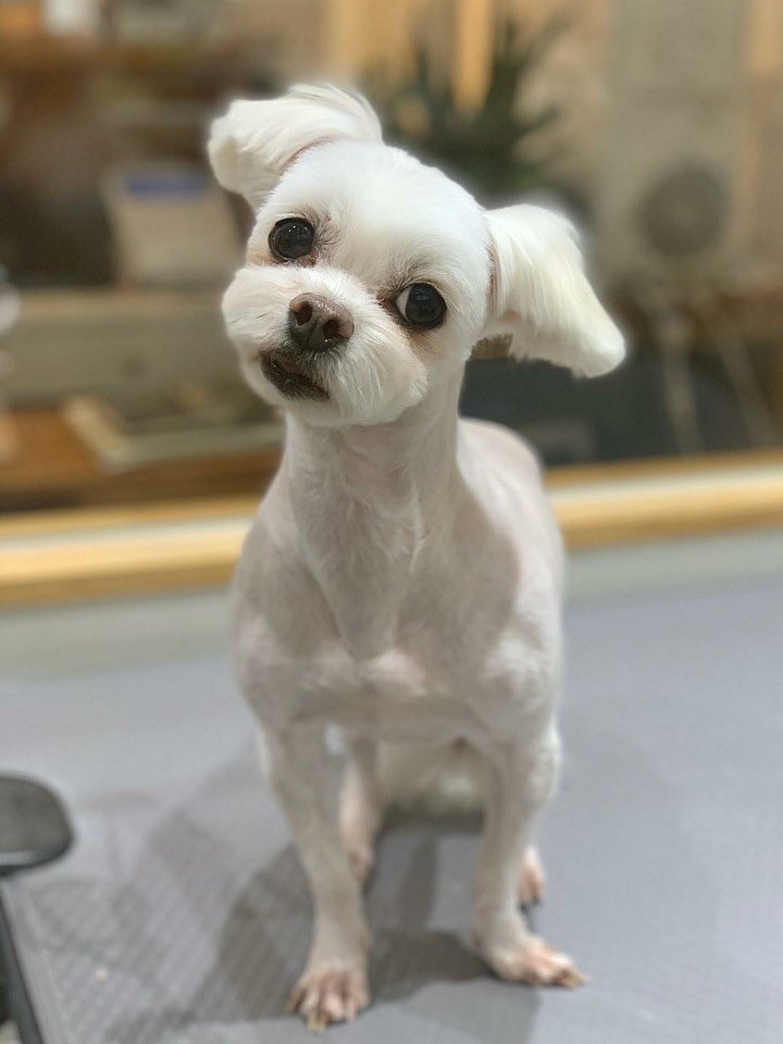 li_hani04's tweet photo. 나는야 근육맨💪🏻 https://t.co/Gs23N3SrMT