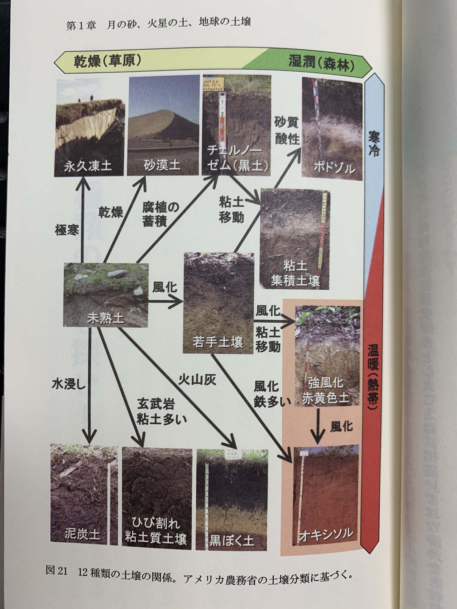 تويتر M Laboratory على تويتر 著者は 12種類の土全ての採集のために世界を周る こういう 理系的奇行の記録はじつにおもしろい 奇行といっても 土の研究はそのまま農業生産性の人類的課題に直結する高い意義を持つのだけれど それはそれとして この人絶対 تويتر M Laboratory على تويتر 著者は 12種類の土全ての採集のために世界を周る こういう 理系的奇行の記録はじつにおもしろい 奇行といっても 土の研究はそのまま農業生産性の人類的課題に直結する高い意義を持つのだけれど それはそれとして この人絶対