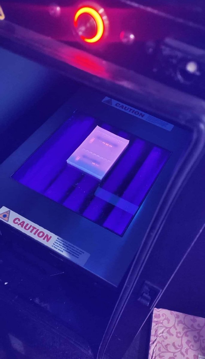 SanjitaPanigra2's tweet image. Isn&apos;t beautiful 😍?
#labdiaries