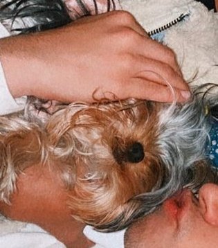 Dannasiete's tweet photo. La Carita de lu lo dice todo, pobrecita :(
#PrayforLu https://t.co/IDWJnYE0Yd
