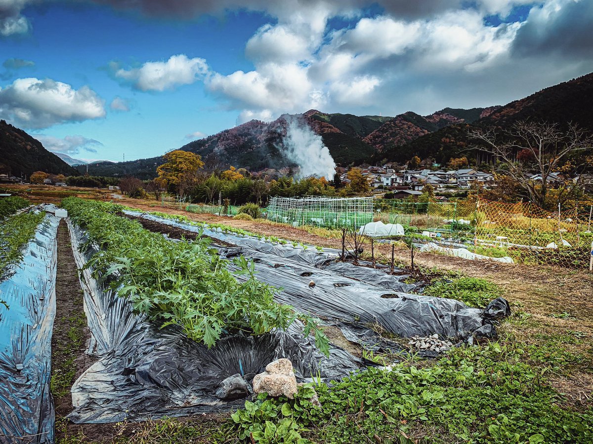 A lovely autumn pedal. Life is better on a bike.
noru.cc

#kyototour #kyototrip #visitkyoto #japantrip #japantravel #traveljapan #japantour #japanese #lifeinjapan #visitjapan #explorekyoto #Daily #adventure #traveler #kyoto #norukyotobiketours #biketour