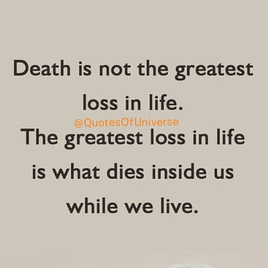BooKVaani's tweet photo. https://t.co/KfusLF9IN5