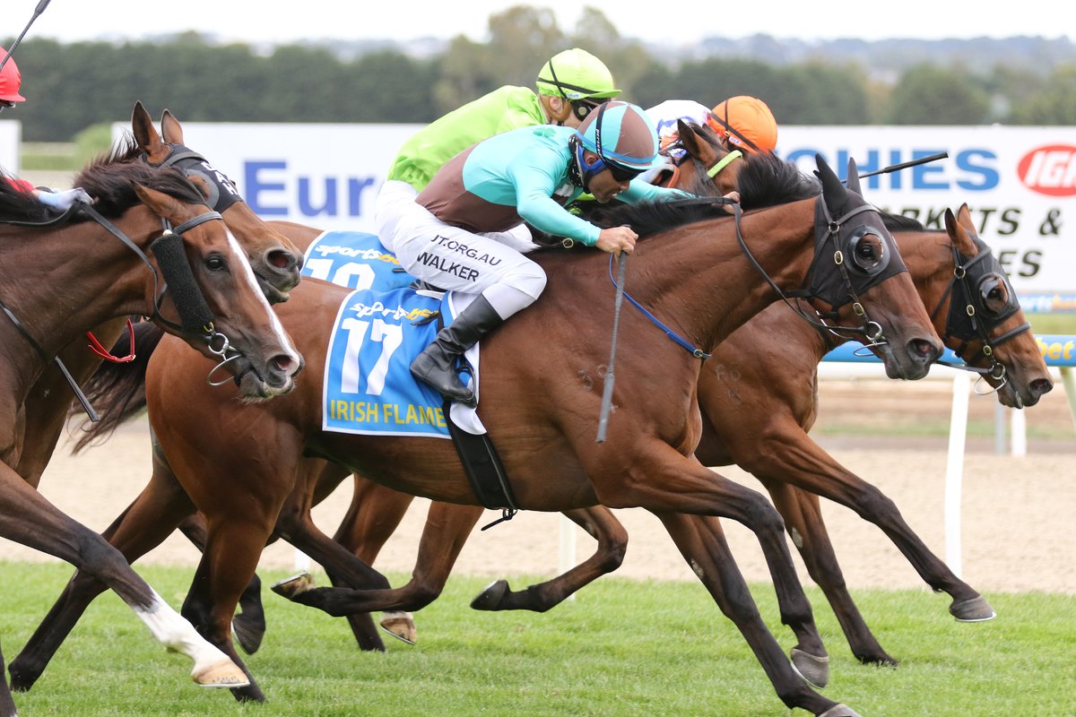 nzracingnews's tweet photo. The in form #IrishFlame overcame a wide barrier and a torrid run in transit to claim Saturday's Listed Ballarat Cup
https://t.co/NzcZl92Rwp https://t.co/jHO6D3RgaH