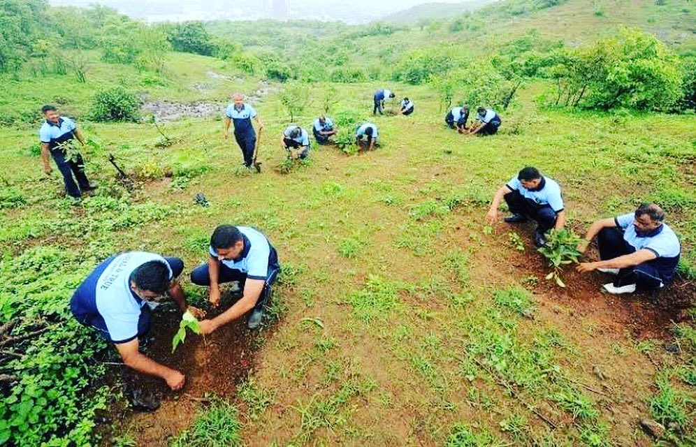 NirmayaF's tweet photo. #afforestation #climatechange #india #trees #environment #forest #plantation #deforestation #forests #reforestation #nature #planttrees #savetheplanet #climateaction #gogreen #wwf #wildlife #climateemergency #world #greenery #savetrees #green #globalwarming #forestlife #mountain https://t.co/s7dmXCt1ga