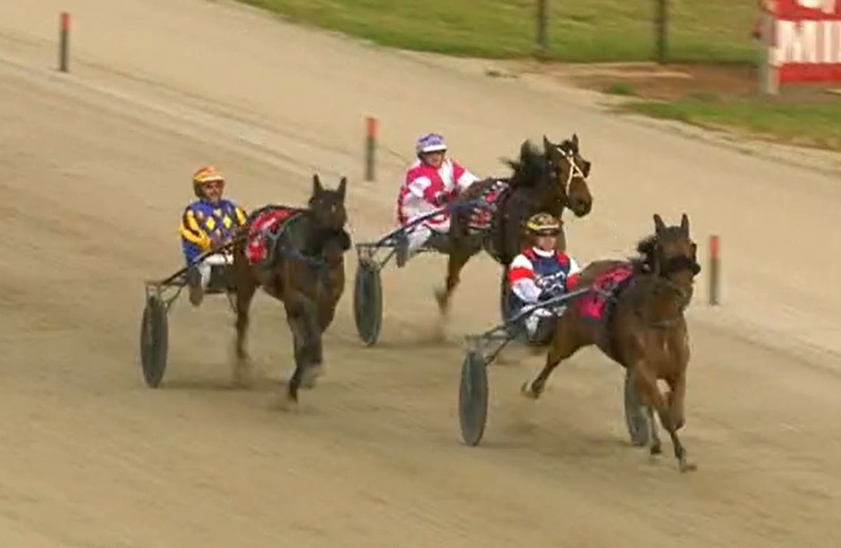 TheTrotsComAu's tweet photo. "You grow up watching these races and it's just awesome to win one," says @JLee_8, after Im Ready Jet wins the @CatanachsJewel 3YO trotting fillies title on @tabcomau #BreedersCrown night.
A first Group 1 for Jack MacKinnon, co-trainer with Anton Golino. #TheTrots https://t.co/3jEBM8YnPq