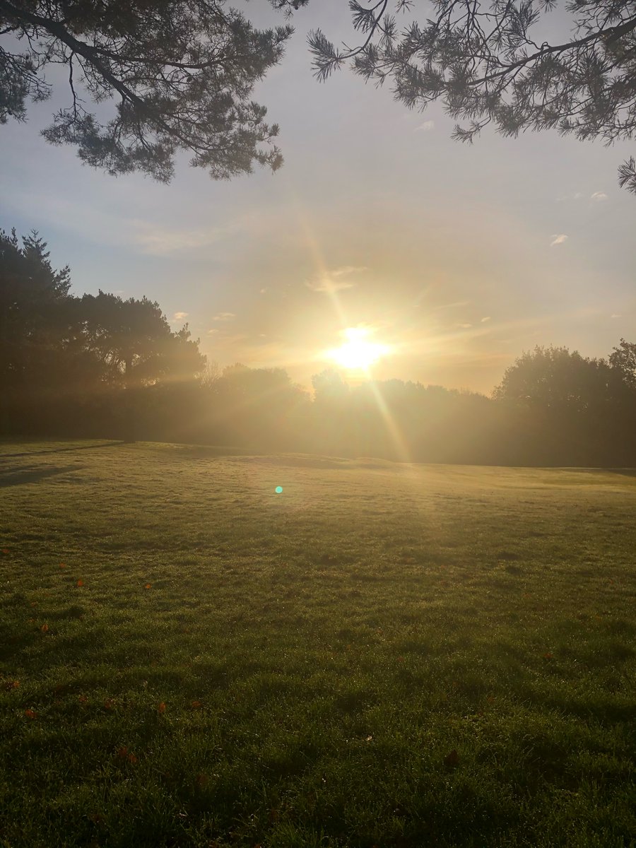 Headteacherchat's tweet photo. How are you spending your Saturday morning?

Mine is walking the dog.
Then putting up the Christmas lights. https://t.co/A3ImeBa0i8