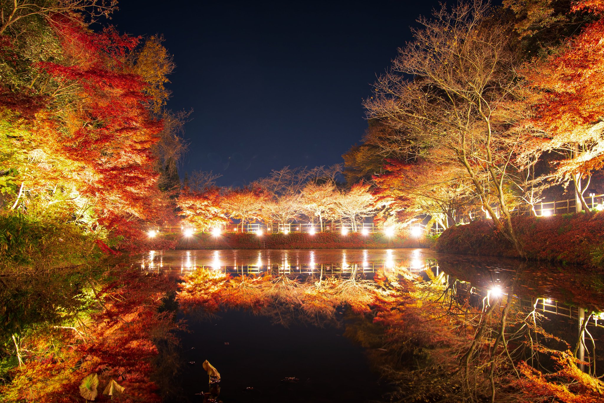 岐阜紅葉 Twitter Search Twitter