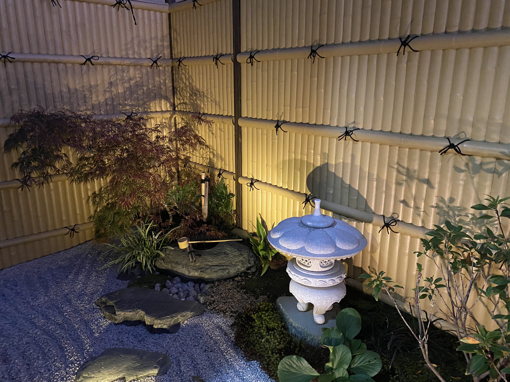 とらまる Youtube 少しずつ坪庭の紅葉が紅葉してきました 真っ赤も綺麗ですがこれくらいも結構好きです 庭でも見ながら日本酒にします あったかい部屋から庭を見ながら冷酒 伝わりにくいですが最高なんです T Co Szk8kaxr9l Twitter