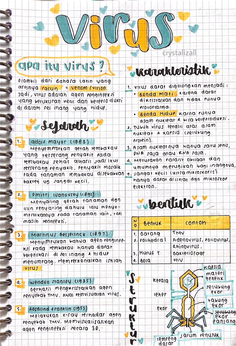 crystalizall's tweet image. catatan biologi kelas 10
; virus ♡