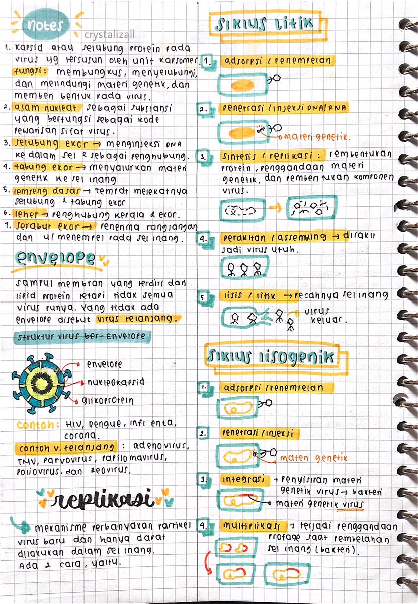 crystalizall's tweet image. catatan biologi kelas 10
; virus ♡