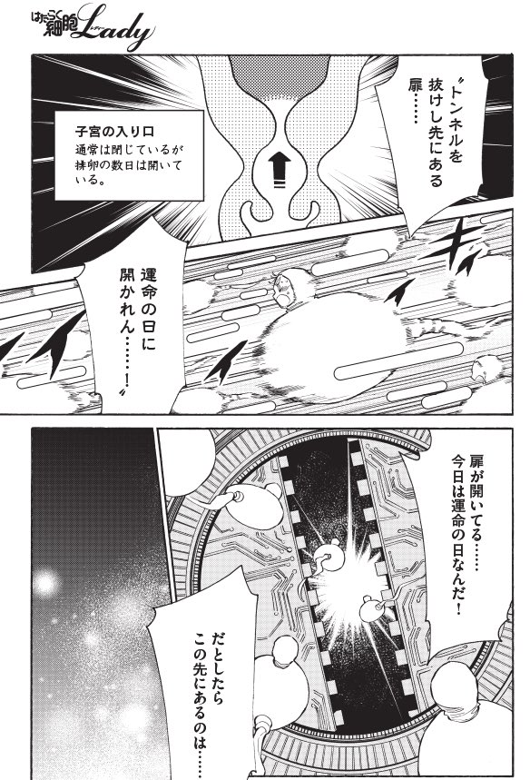 本日モーニング ツー1号発売です はたらく細胞lady10話が載ってます 今回は 乙川 灯の漫画