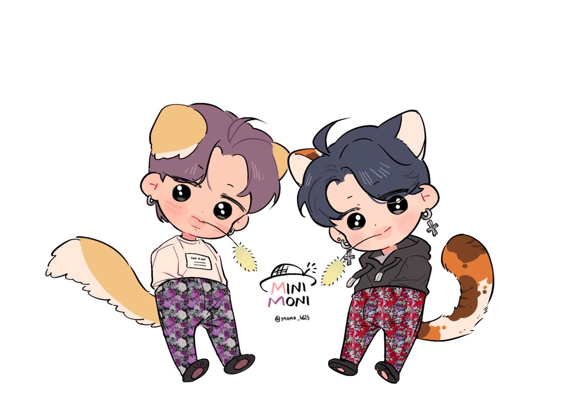 miniMONI