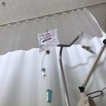 ツツガムシに噛まれて入院？ダニには気を付けて!