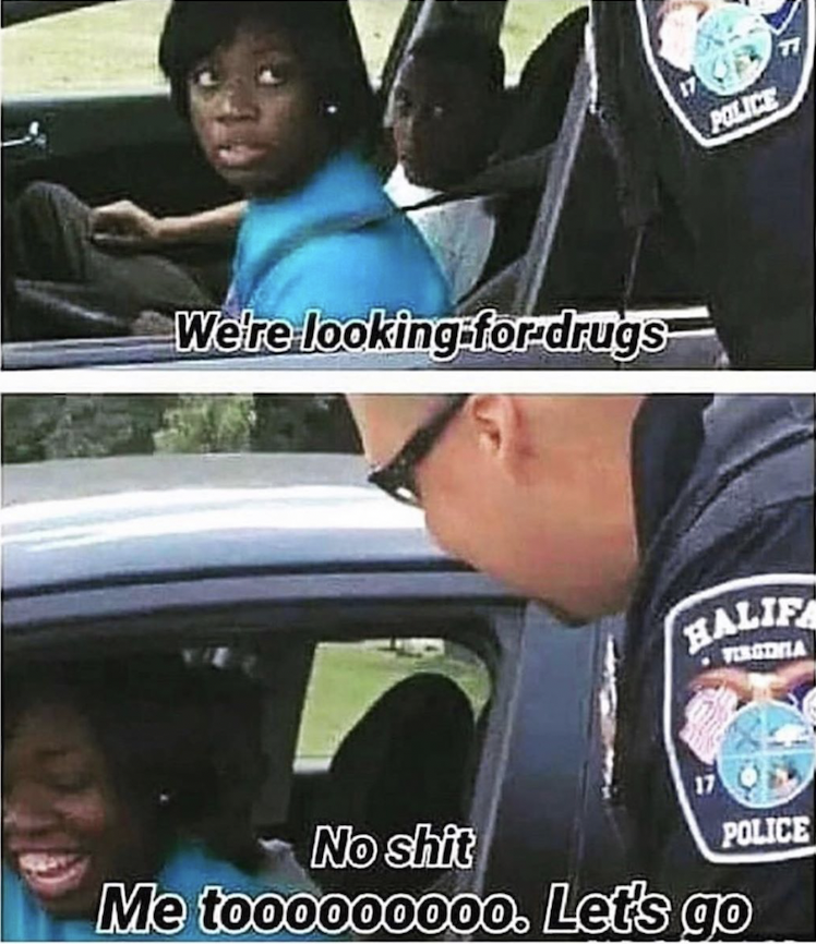 You lookin' for drugs?