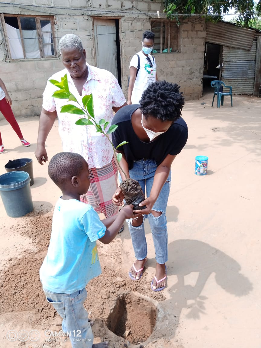 pucunuchaa's tweet photo. Plantio de Árvores no #Chamanculo 🍃🌳💚
#Cuidardomeioambiente
"Em breve sentaremos a sombra das árvores conversando sobre a história dos bairros periféricos e comendo os frutos 😊🙏🏾
Somos do Guetto!! 🇲🇿
#meioambiente #chamanculoevida #geracaoc #moz https://t.co/MndYEeiCGK