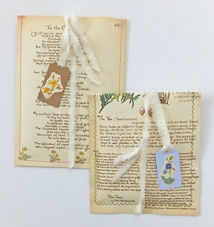 DetectiveGifts's tweet photo. #GiftsWrapping &amp; Package  : Gift wrapping on Peony and Thistle Blog _ 

https://t.co/fQSHOzzoQp https://t.co/vsWi6oDS3m