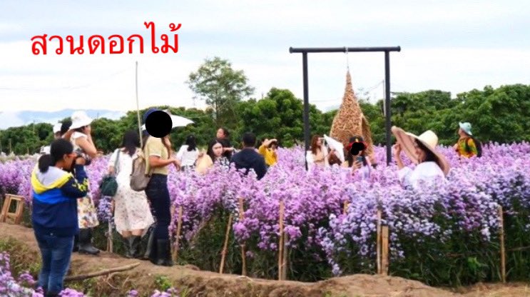 golferic1's tweet photo. สภาพเชียงใหม่ช่วงหยุดยาวท้ายปีก็คื���ออออ....เฮ่นโล่ เว๊วค่ามมมม #รีวิวเชียงใหม่ 

//me สวดมนต์ 
รูป: cm108 https://t.co/YBkrCNeJHS