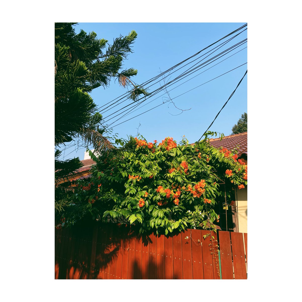 Munaf A. Fajrin ☘️ tweet media