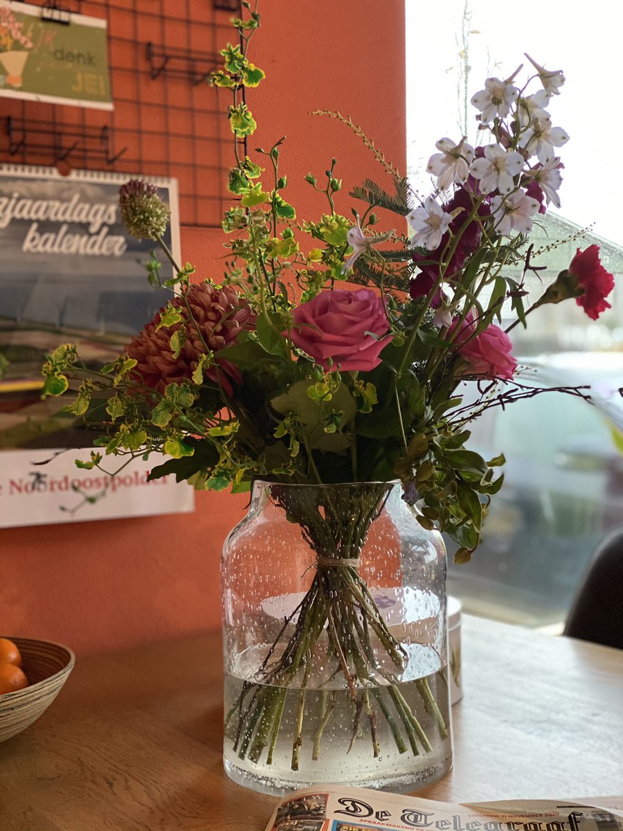 RiannedeIongh's tweet photo. Fijn begin van de dag. https://t.co/2l2MKpuoVK