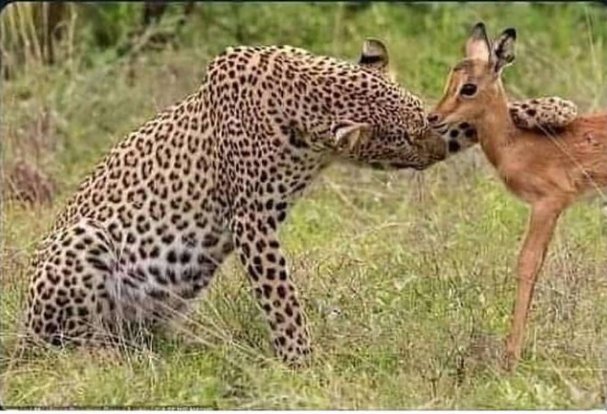 sensible_medico's tweet photo. 18 batch nibba taking intro of 20 batch fresher nibbi be like- https://t.co/d5vcPKxA2I