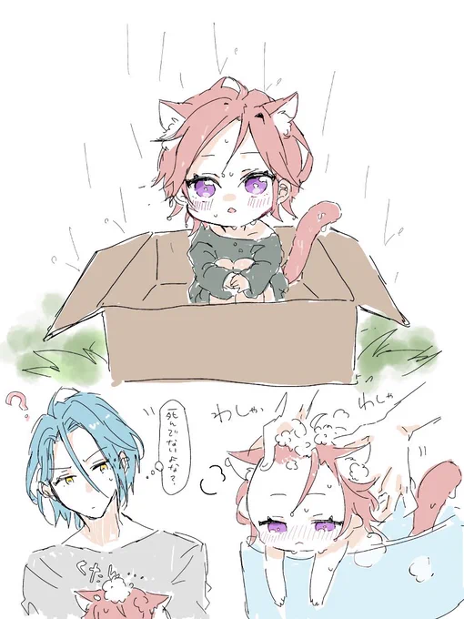 要とねこ 