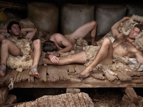StuffBeef's tweet photo. Sheerers Australia
#nakedmen #paulfreeman #australia #stockmen #sheerers #smoko https://t.co/4K09qKhDKA