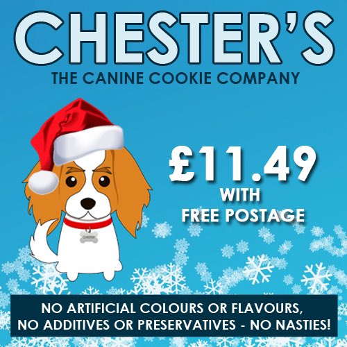 Only 25 left! Perfect Doggie Christmas present... only £11.49 with FREE POSTAGE! #dogsoftwitter #Christmas chesterscaninecookies.co.uk