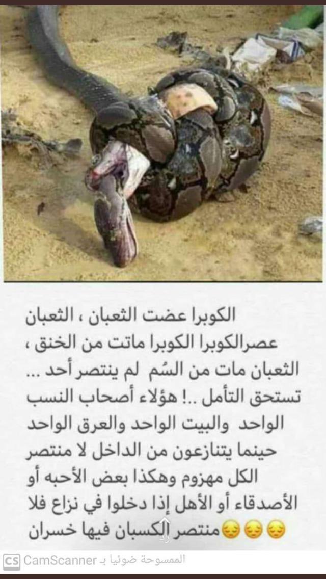 wardkad's tweet photo. #القدره_المعرفيه الأهل أو الأحبه أو الأصدقاء إذا دخلوا في نزاع فلا منتصر الكاسب فيهم خسران https://t.co/gggPrrrgWW