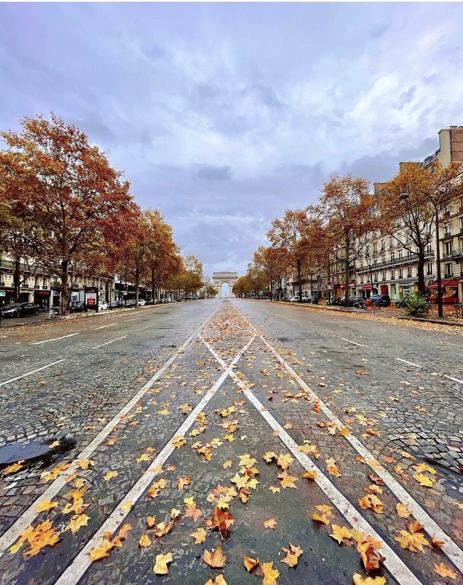 BETTY5128BB's tweet photo. #samedi21novembre2020
#automne2020
#paris
#jardindestuileries
#champselysées https://t.co/EaMJF46P5n