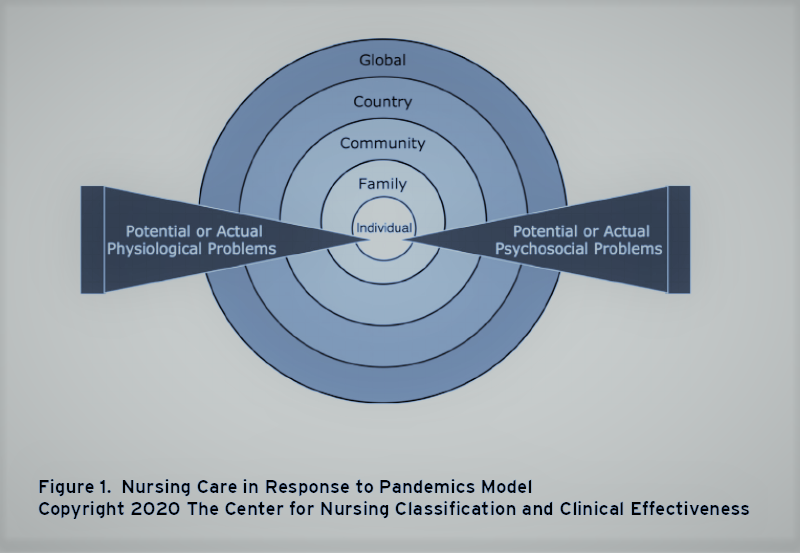 NANDA‐I, NOC, and NIC Linkages to SARS‐Cov‐2 (#Covid19): Part 2. Individual Response by Elizabeth Swanson et al. (2020) [Free access] doi.org/10.1111/2047-3…