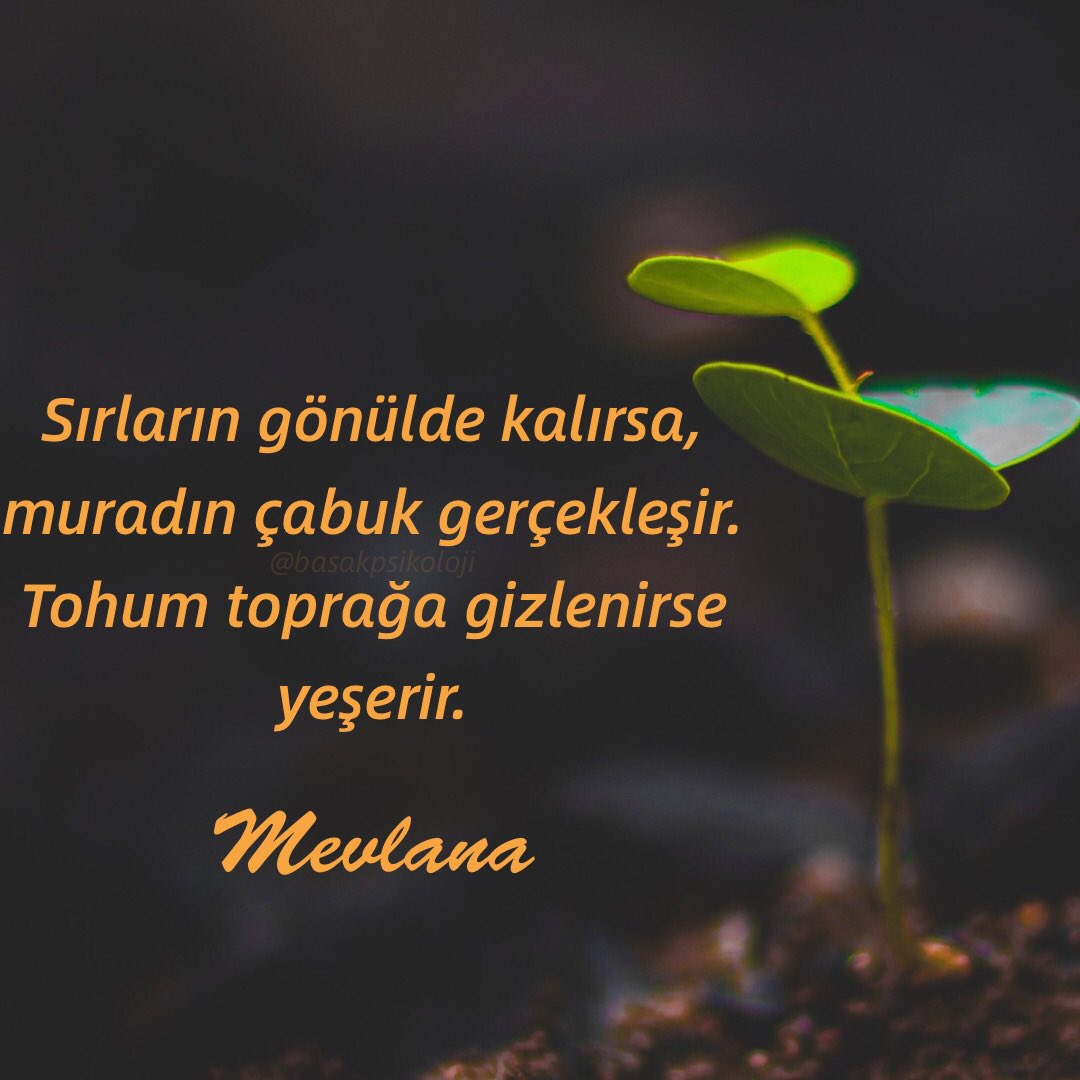 basakdonusumak's tweet photo. #Mevlâna 🌱 https://t.co/1SdSK0aPeR