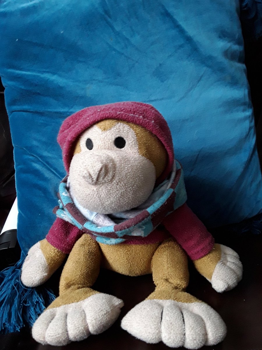 Stevemonkey26's tweet image. Happy birthday aston villa! @AVFCOfficial 💜💙💜💙