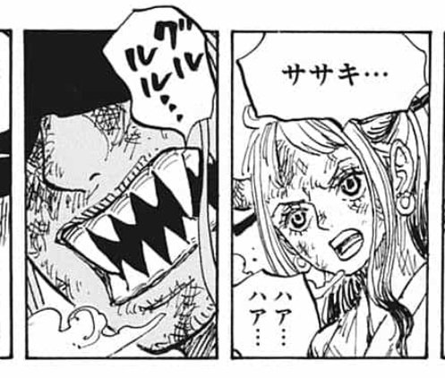 ワンピースのヤマトは悪魔の実の能力者 幻獣種白虎の可能性を考察 かえるのうた