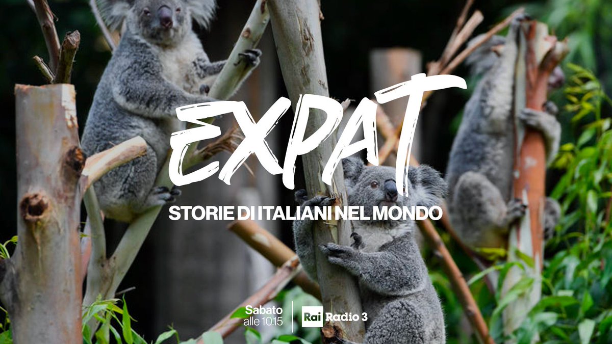 Sara cura koala in Australia, in un ospedale della fauna. Matteo va alla ricerca di ciò che rimane di antichissimi vulcani. Storie di #Expat, isole remote e riti di purificazione. Qui bit.ly/koalaevulcani