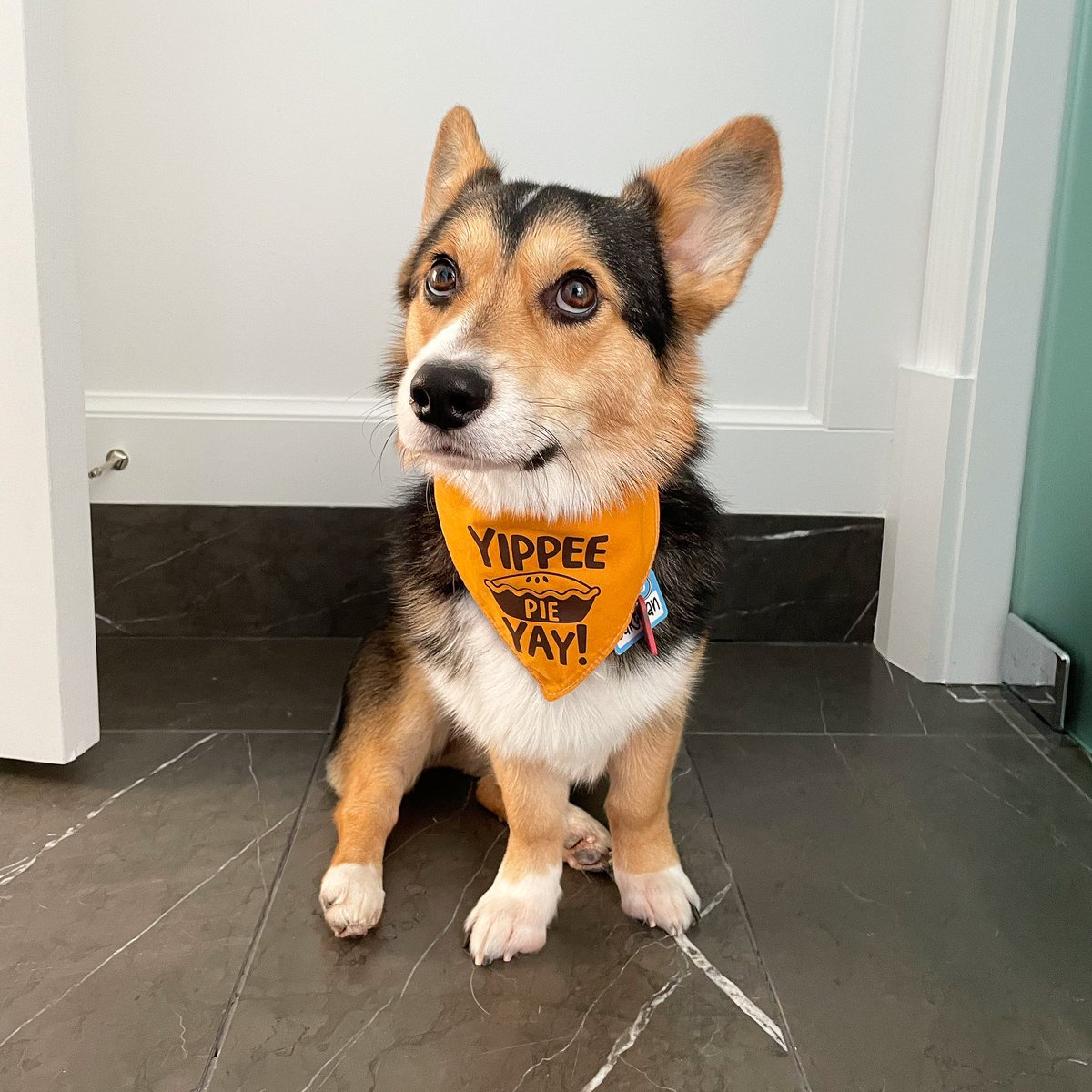 Chungah Damn Delicious Twitter