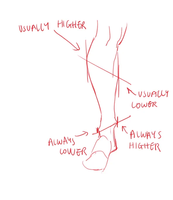 Lesson for class on anatomy !!
I put "always" for the ankles cuz it's the bone, and bones don't change!! But muscles do (depending on the person/angle ur viewing it) 