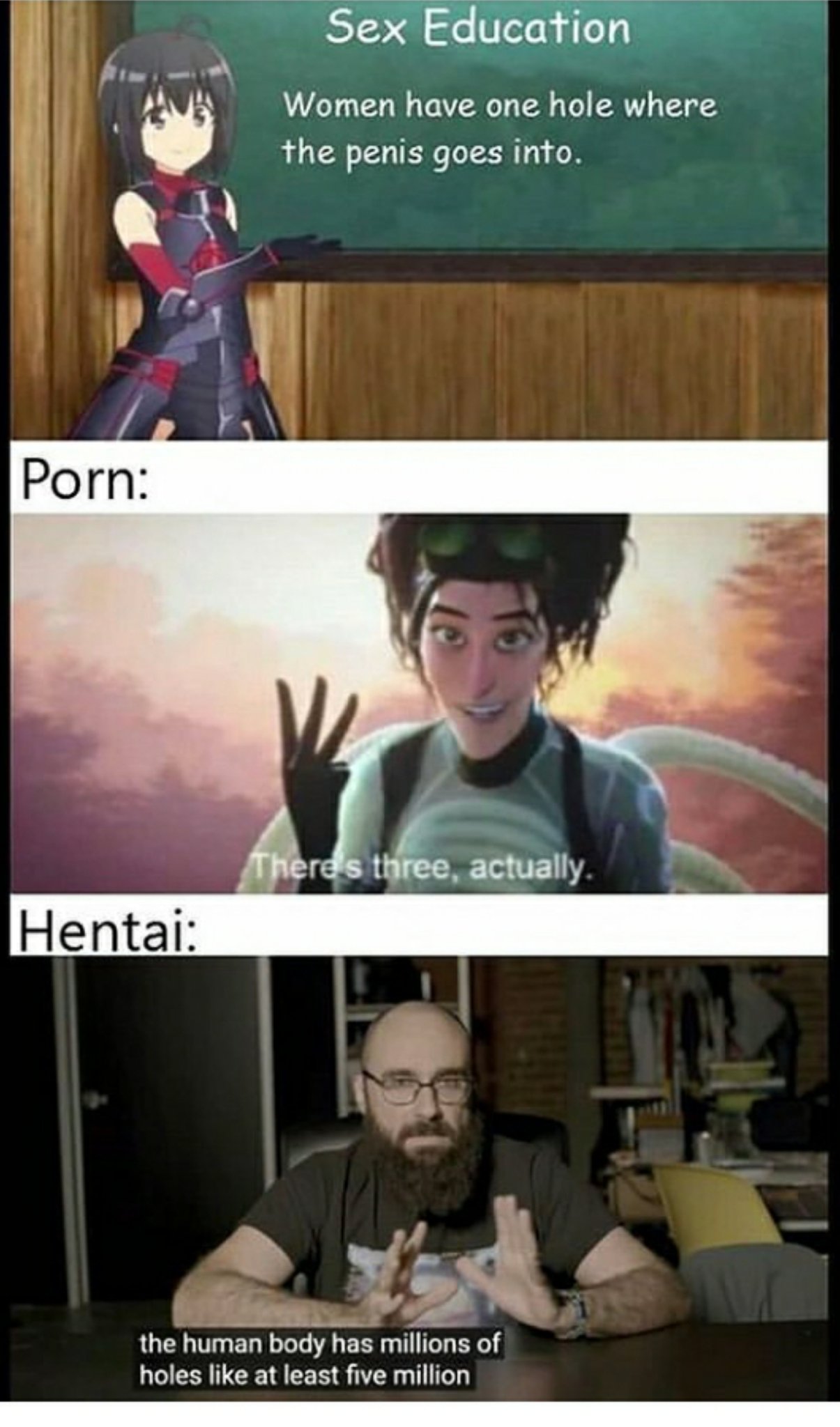 anime_irl on X: Sexual education vs porn vs hentai t.coJEwnmwcCd5  t.coh5Yi4F3PQt  X