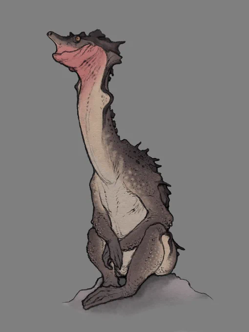 #creaturedesign 
河童 