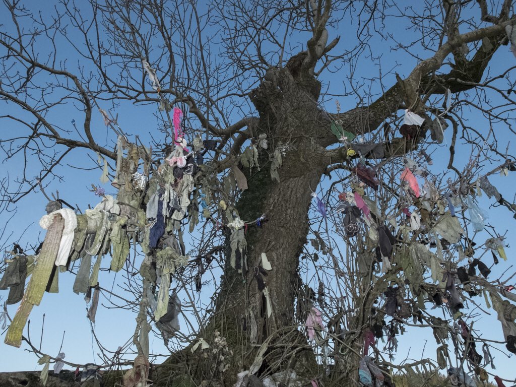 Sacred trees are found everywhere in Ireland. Some are said to be healing & others have roles in divination & identity Many were appropriated by the early Christian Church & Celtic Gods they represented turned to Christian Saints. Irish nature & heritage inspires my art work too.