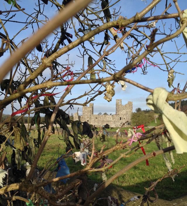 Fairy trees (often Hawthorns) were associated with fertility & healing - the Church appropriated some as MayBushes & dedicated them to the Virgin - even hanging them with fertility symbols - eggs. (This was Bealtaine) Bad luck is said to haunt those foolish enough to attack them