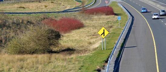 The trees are mostly protected by superstition with the belief that cutting one down would bring ‘bad cess to you’ (Bad luck). A famous example of this is the Fairy Tree & the Motorway:  https://thejournal.ie/fairy-bush-co-clare-4604485-Apr2019/?amp=1