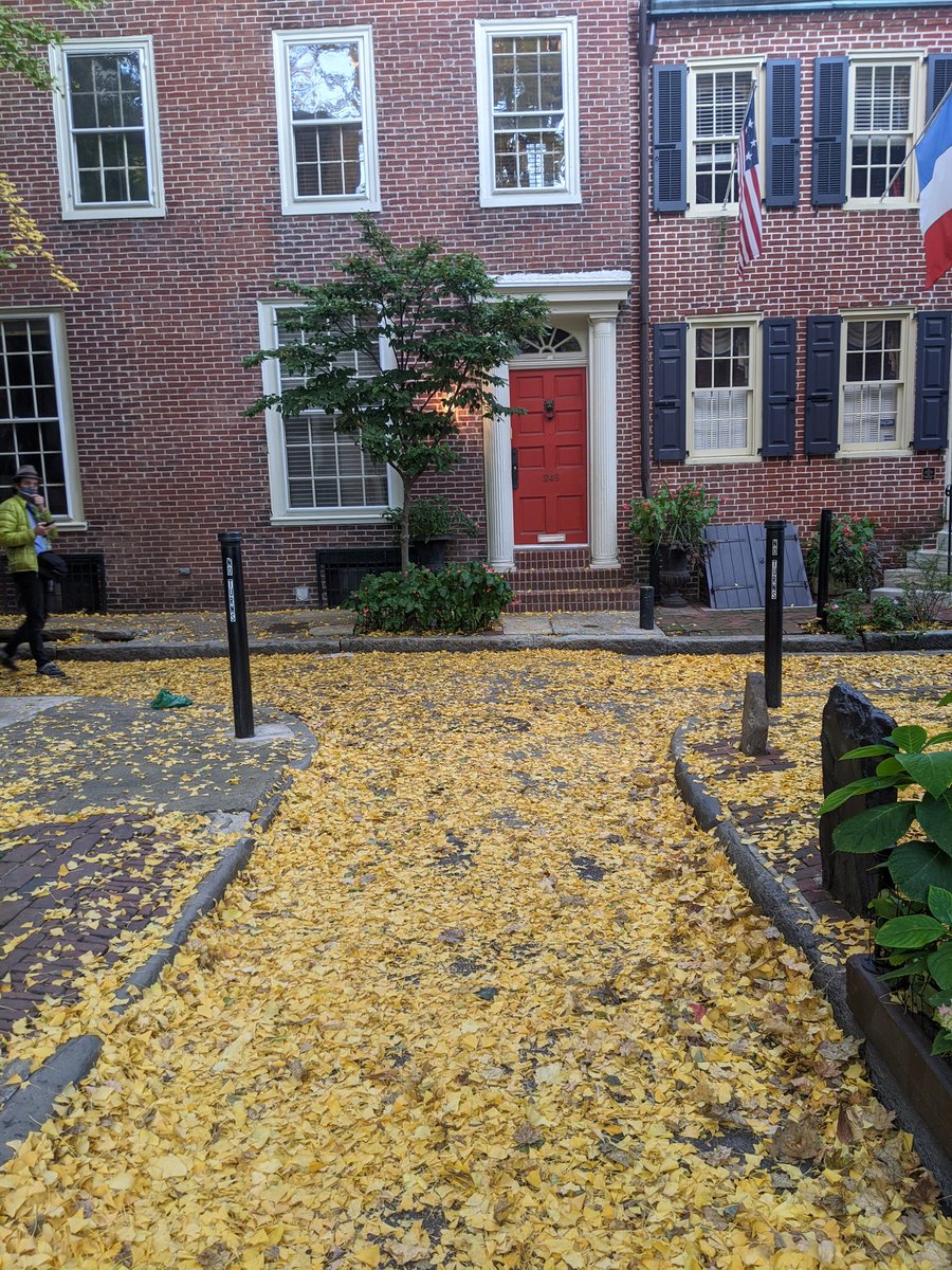 I also appreciated the quiet, old, tiny streets, and I weaved through them marveling that generations have done the same.Also: ginkgos do stink throughout Philly in the fall, but they are having a glowing moment.