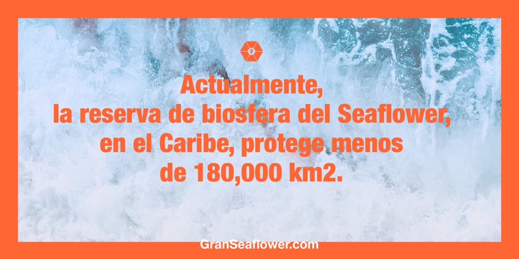 Fundación Franz Weber tweet media