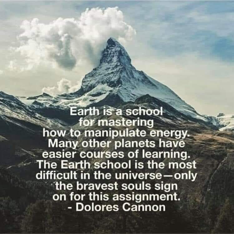 Tesla369 tweet media