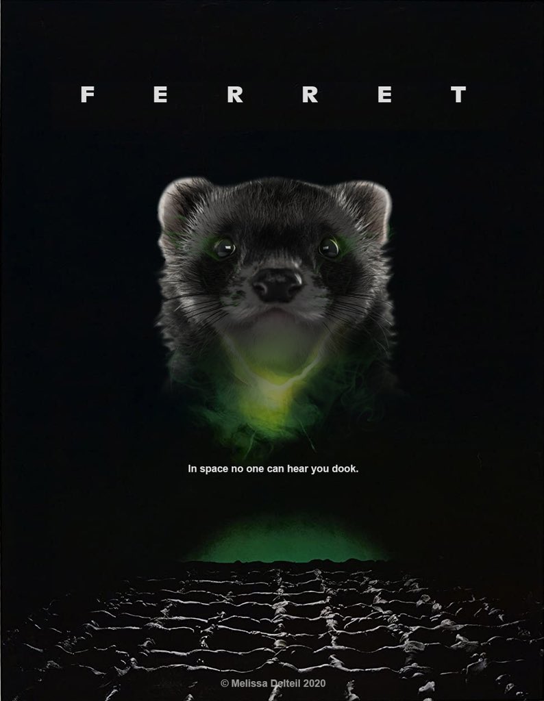 DelteilMelissa's tweet photo. In space no ne can hear you dook. #alienparody #funnyferret https://t.co/ET3G51OlDu